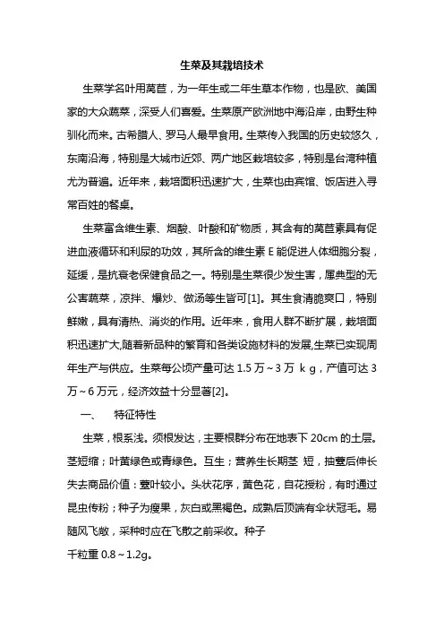生菜及栽培技术简介