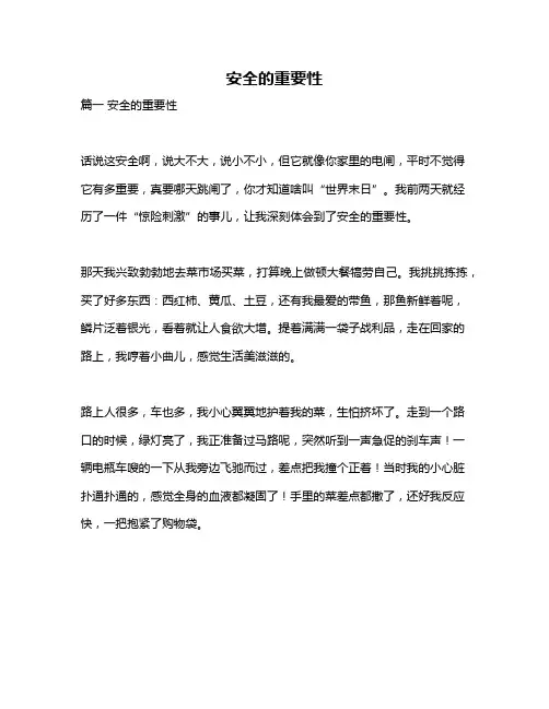 作文《安全的重要性》
