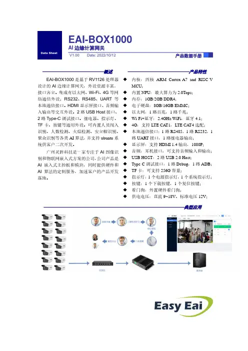 灵眸科技EAI-BOX1000 AI边缘计算网关产品说明书