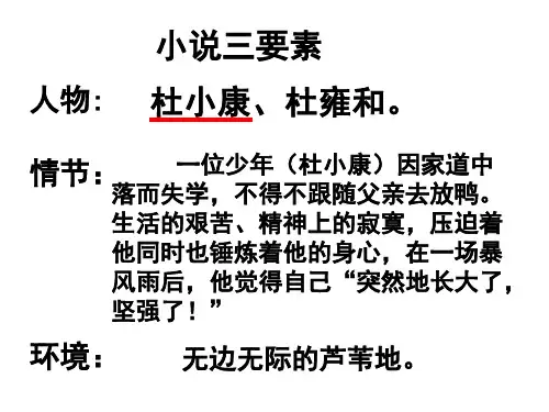 人教部编版语文九上《孤独之旅》优质课件(共28张PPT)
