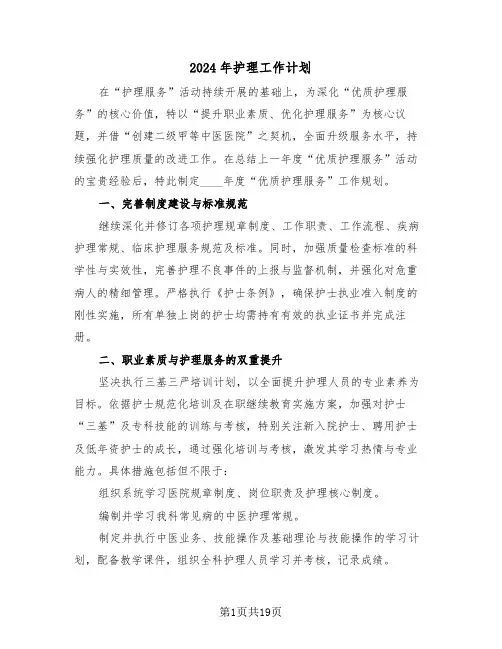 2024年护理工作计划（七篇）
