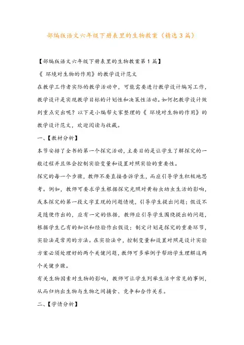 部编版语文六年级下册表里的生物教案(精选3篇)