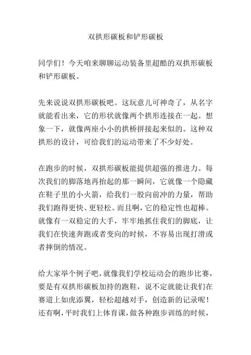 双拱形碳板和铲形碳板