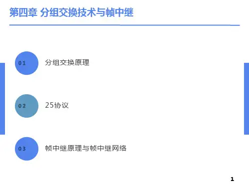 现代交换原理第4章分组交换技术