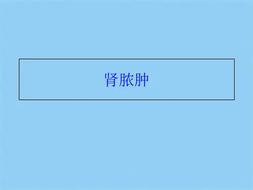 肾脓肿(共10张PPT)