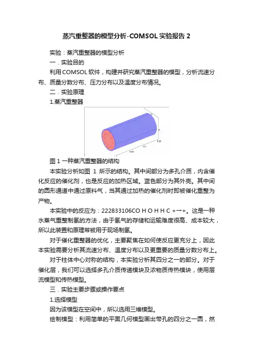 蒸汽重整器的模型分析-COMSOL实验报告2