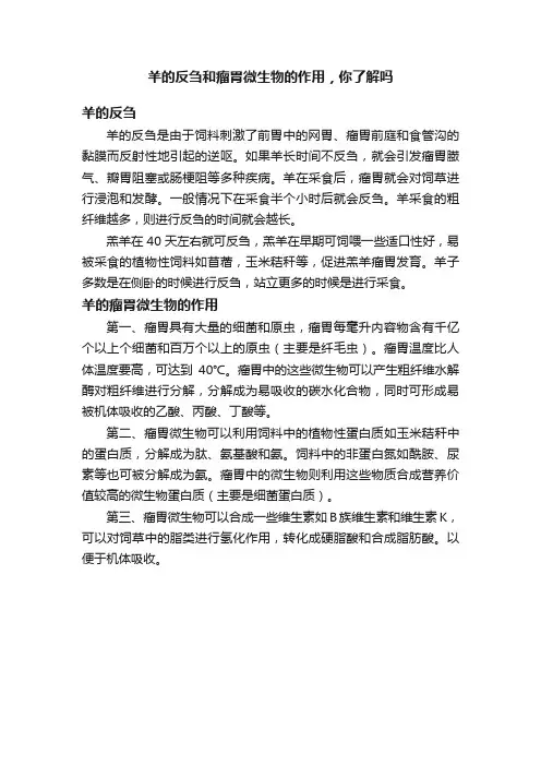 羊的反刍和瘤胃微生物的作用，你了解吗