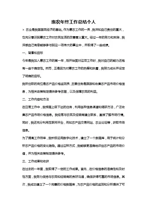 惠农年终工作总结个人