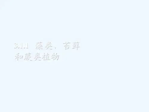 八年级生物《藻类、苔藓和蕨类植物》课件