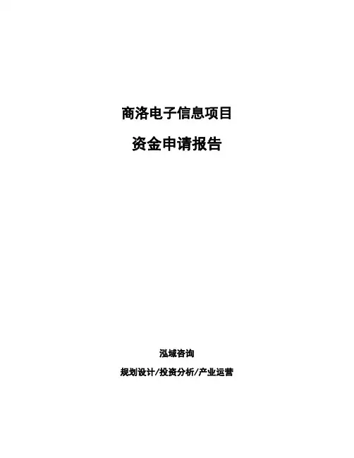 商洛电子信息项目资金申请报告