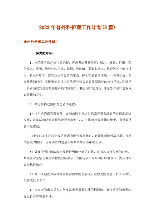 2023年普外科护理工作计划(3篇)