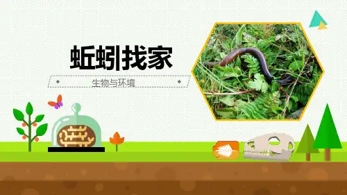 最新青岛版科学六年级上册《蚯蚓找家》优质课件