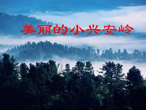 23《美丽的小兴安岭》 (1)