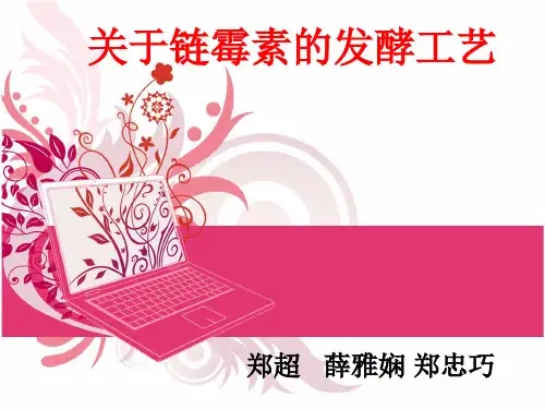 链霉素