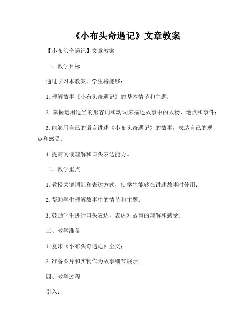 《小布头奇遇记》文章教案