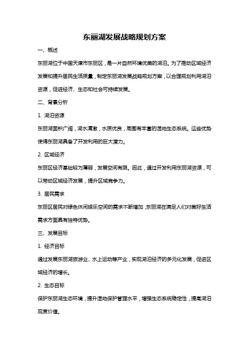 东丽湖发展战略规划方案