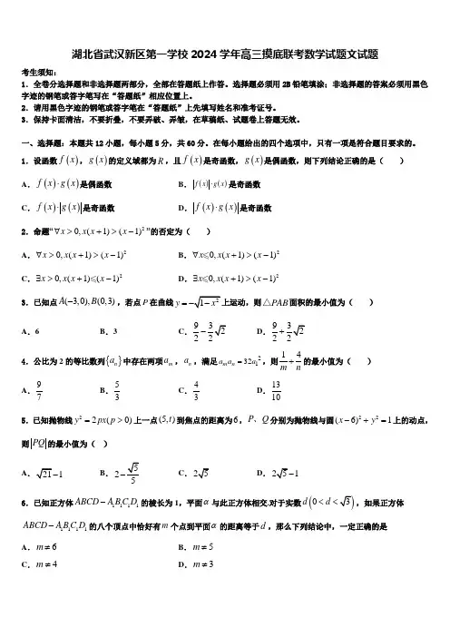 湖北省武汉新区第一学校2024学年高三摸底联考数学试题文试题