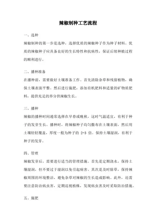 辣椒制种工艺流程