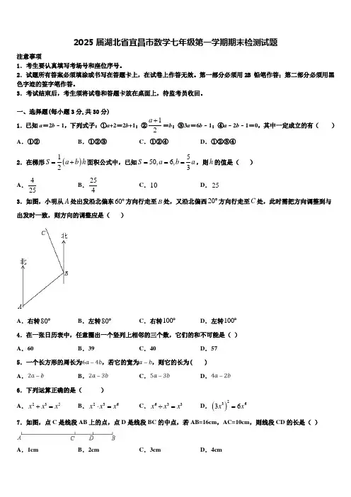 2025届湖北省宜昌市数学七年级第一学期期末检测试题含解析