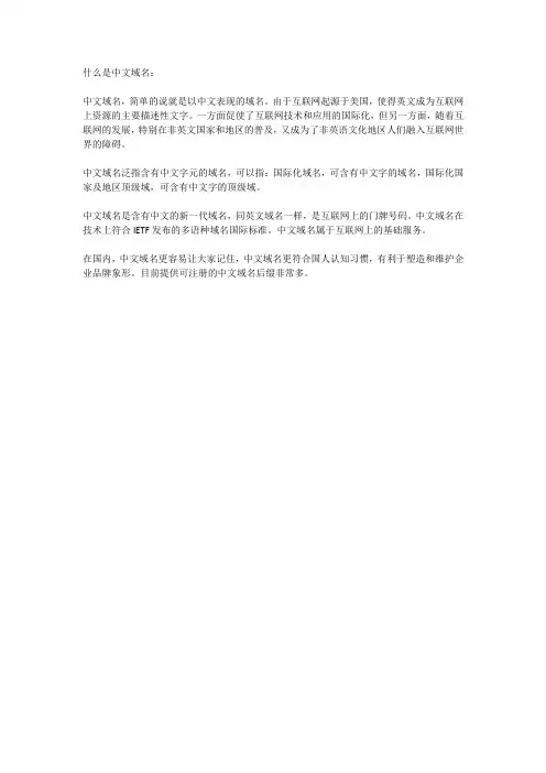 什么是中文域名？