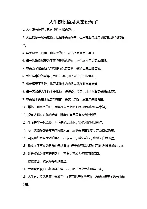 人生感悟语录文案短句子