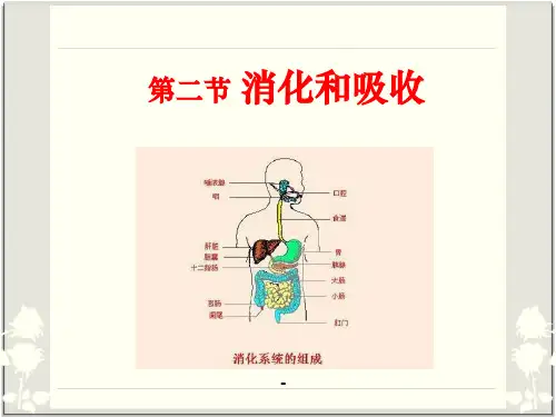 消化和吸收--PPT课件 