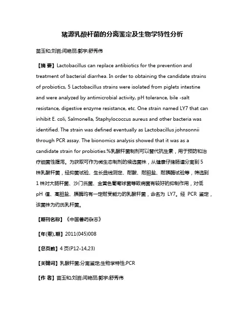 猪源乳酸杆菌的分离鉴定及生物学特性分析