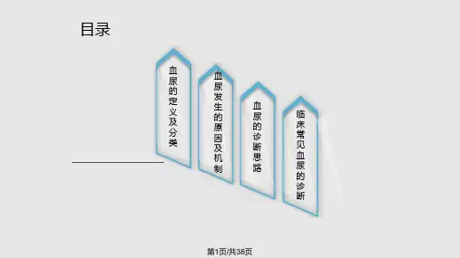 血尿诊断思路PPT课件
