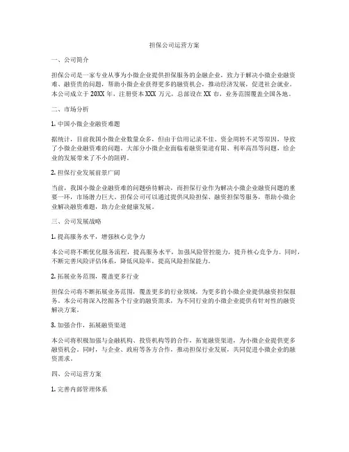 担保公司运营方案