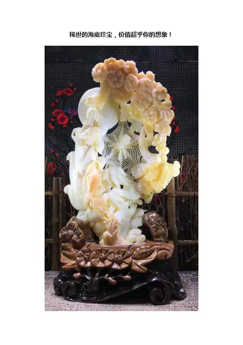 稀世的海底珍宝，价值超乎你的想象！