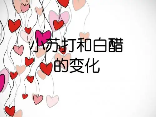 小苏打和白醋的变化PPT