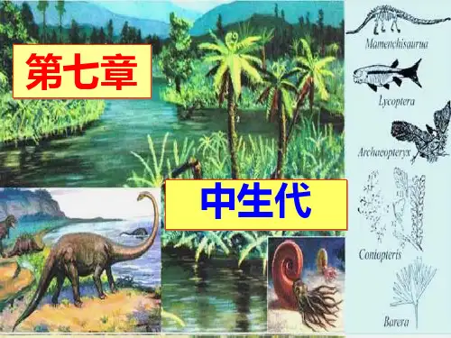 第8章 中生代1
