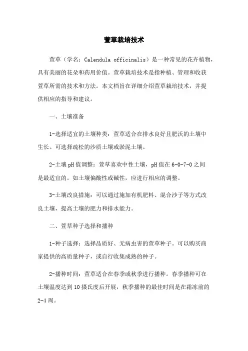 萱草栽培技术