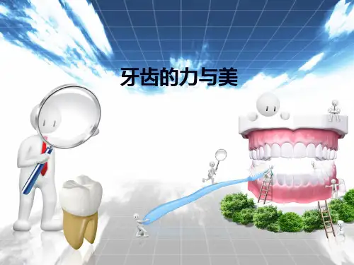 牙齿美白步骤与流程PPT课件