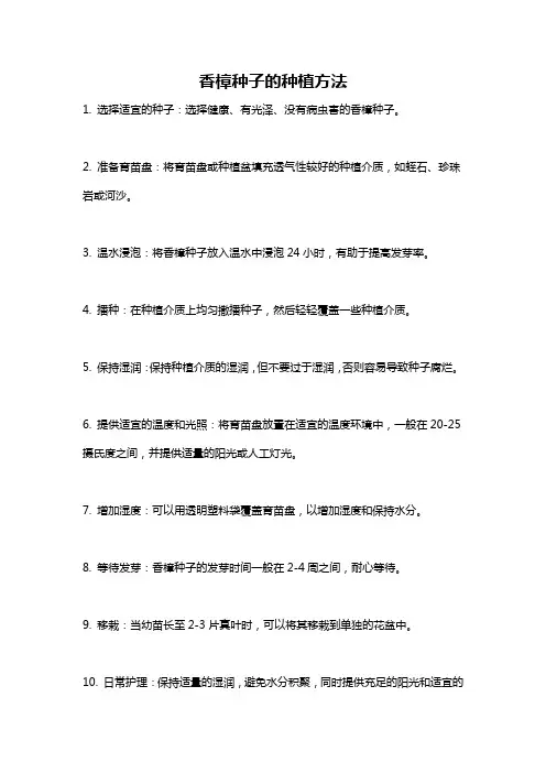 香樟种子的种植方法