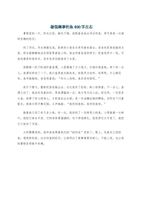 暑假趣事钓鱼600字左右