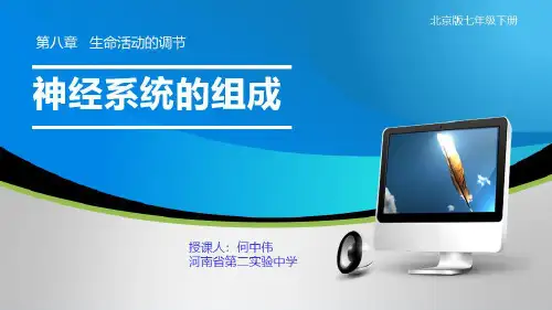 北京版七年级下册生物《第一节 神经系统的组成》课件