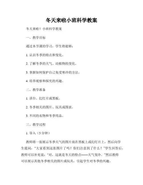 冬天来啦小班科学教案