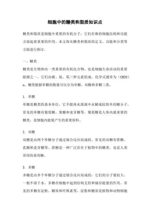 细胞中的糖类和脂质知识点