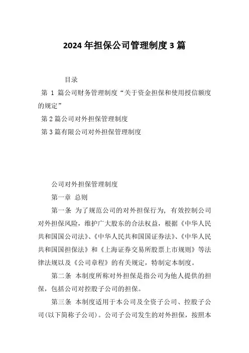2024年担保公司管理制度3篇