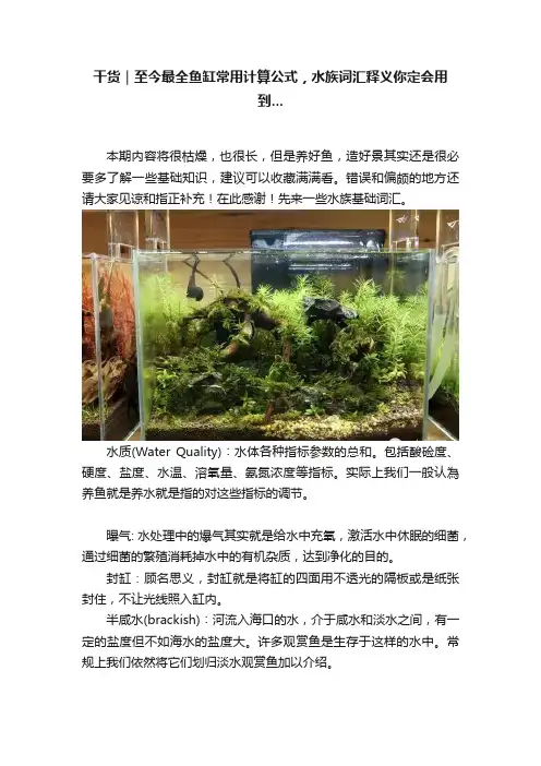 干货｜至今最全鱼缸常用计算公式，水族词汇释义你定会用到...
