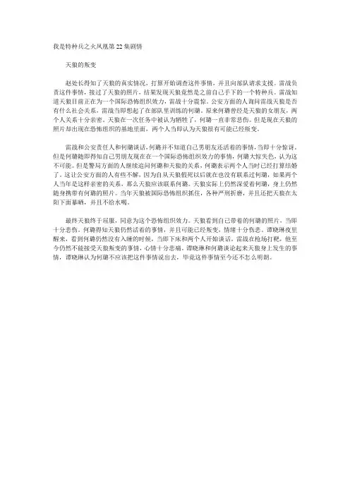 我是特种兵之火凤凰 剧情 - 我特种兵火凤凰剧情分集介绍