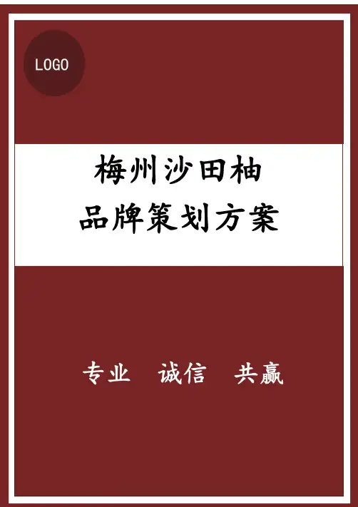 梅州沙田柚策划方案