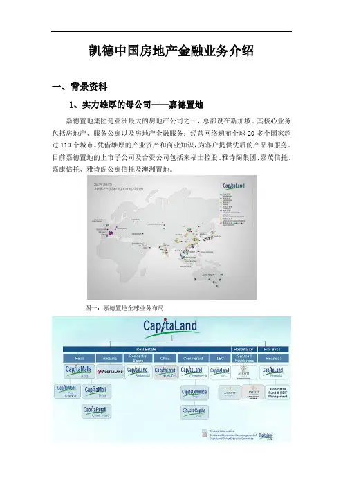 凯德中国房地产金融业务案例研究分解