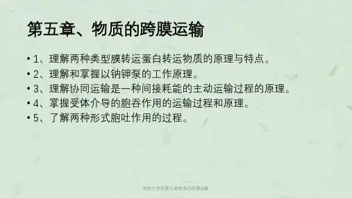 细胞生物学第五章物质的跨膜运输课件
