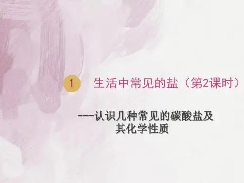 九年级化学PPT课件 (2课时)生活中常见的盐