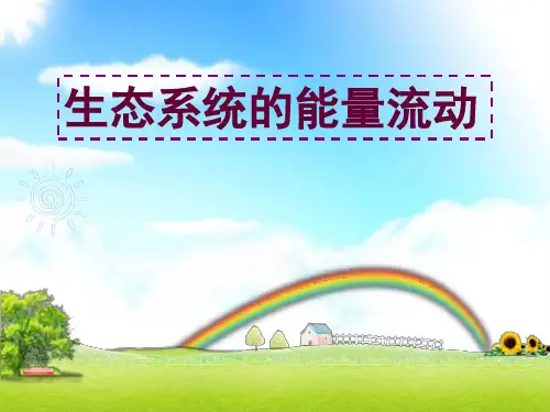 人教版高中生物必修三第5章第2节  生态系统的能量流动  课件(共38张PPT)