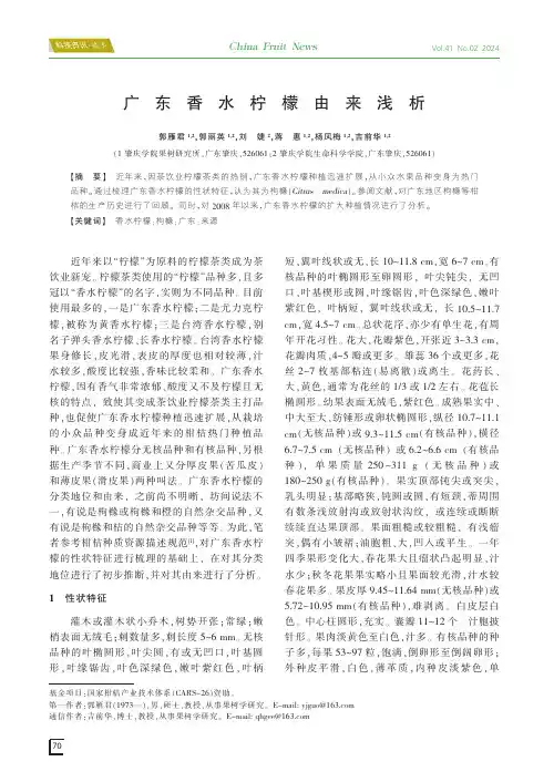 广东香水柠檬由来浅析