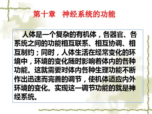 生理学第十章