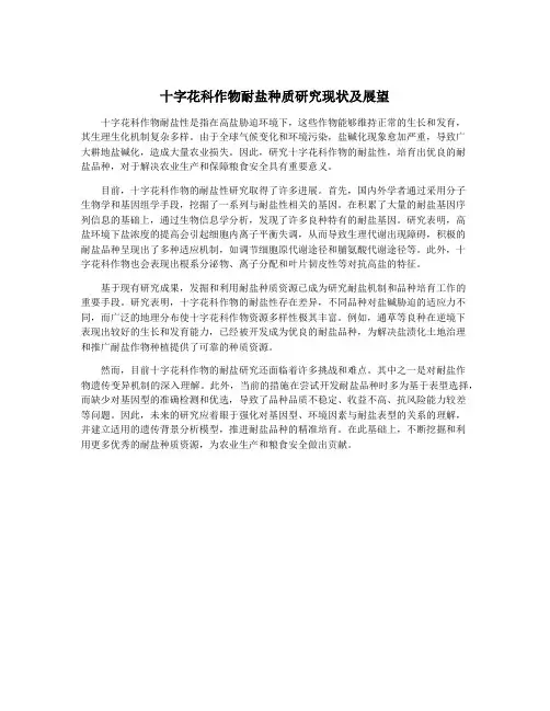 十字花科作物耐盐种质研究现状及展望